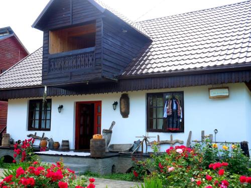 Dor de rădăcini