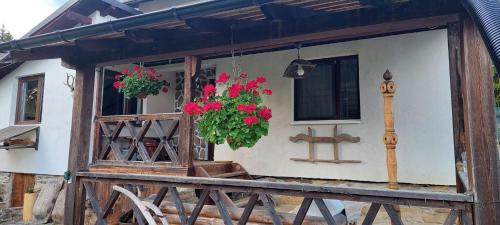 Doru' Bucovinei