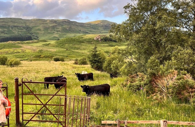 Double Room, Crianlarich, whw