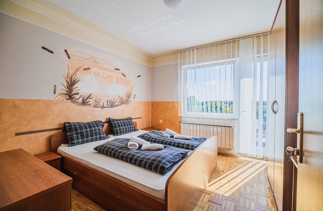Double Room with Balcony at Siva Čaplja
