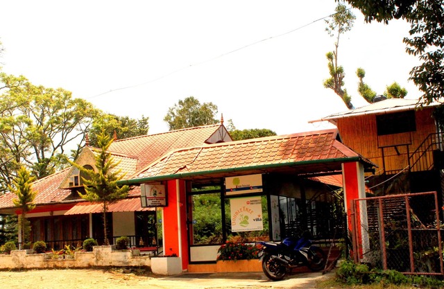 Double Tree Villa