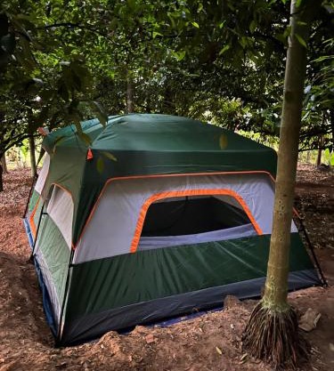 Dragster Tents