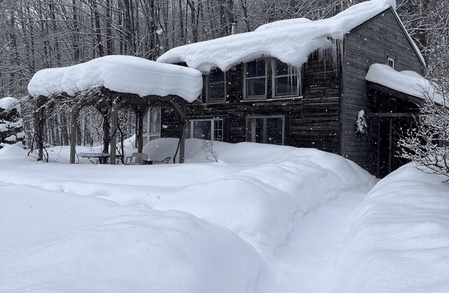 Dream Cabin in charming Hyde Park with WiFi access