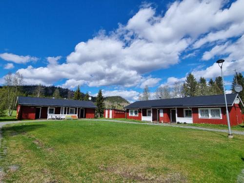 Dream Camp