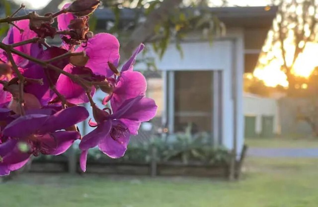Dream Holiday Condo with Caravan Parking Kallangur