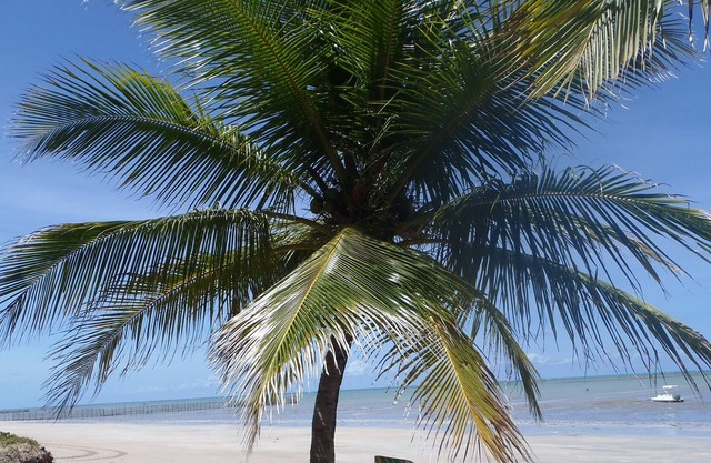 Dream house on tropical beach: nature, sun, peace