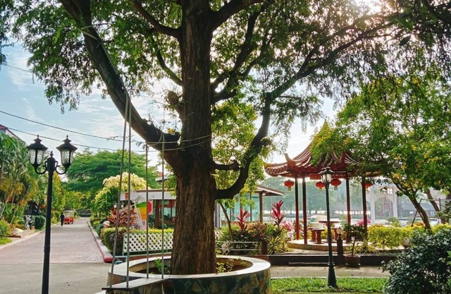 Dream Park Resort