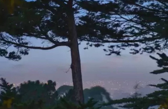 Dream Redwood Getaway: Hot Tub, Views, Hiking - Rare Find!