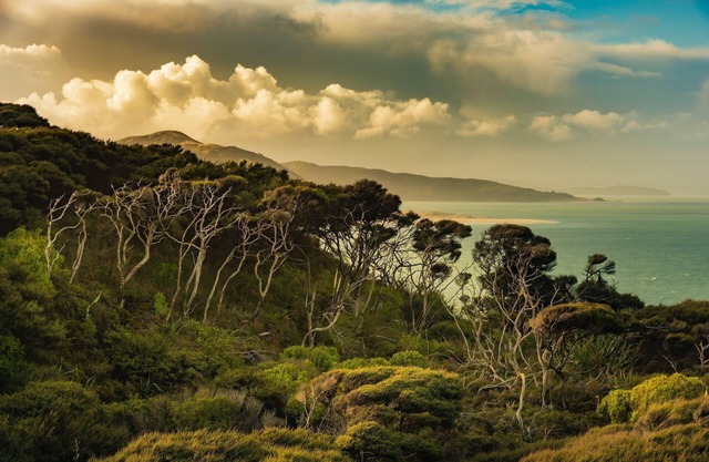 Dreamcatcher Lodge, Raglan