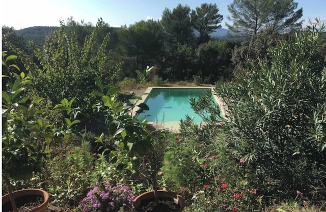 Dreaming in Provence among the olive trees, with a view of the Sainte Beaume mountain range