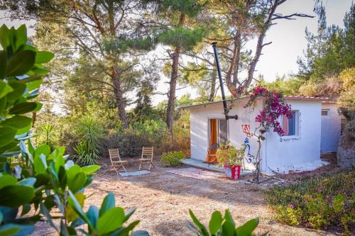 Drolma Ling Nature Cabins
