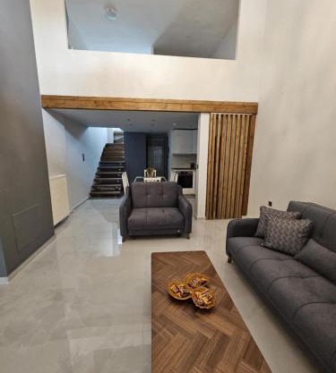 DS Central Apartment