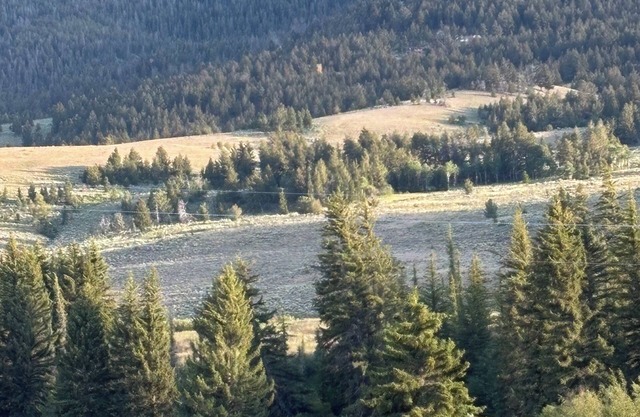 Dubois/Wind River Paradise Cabin