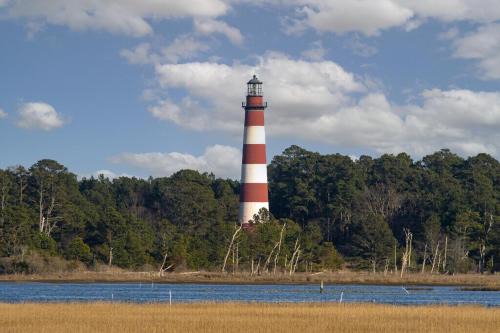 Duck Harbor At Waters Edge
