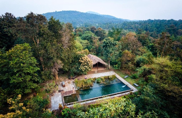Dudhsagar Plantation