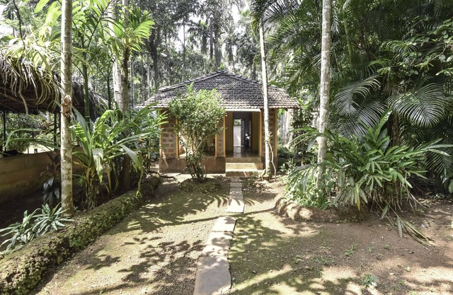 Dudhsagar Plantation