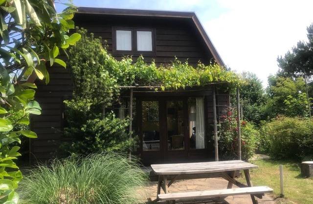 Dune house close to the beach and dunes, 4 persons, 3 bedrooms
