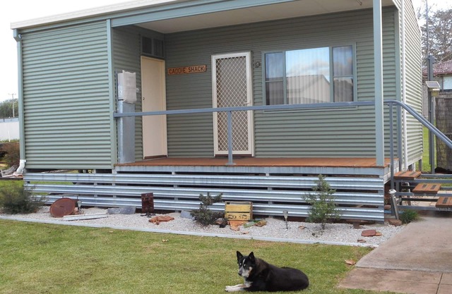 Dunedoo - Caddy Shack