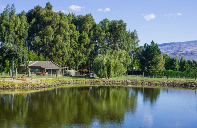 Dunstan Road B&B