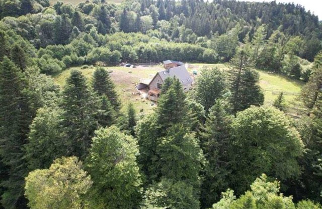 DUPLEX COMFORT 3 * 1 BED IN MEZZANINE- TERRACE - IN ESTATE - LE MONT DORE