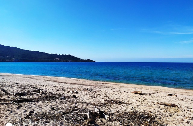 Duplex en Bord de mer Dans Residence Avec Piscine