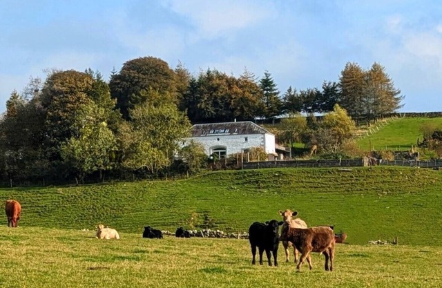 Durhamhill Coach House - llamas, games room/mini cinema, sidecar & fun