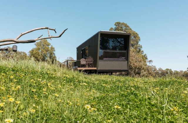 Dylan the tiny cabin in Chittering