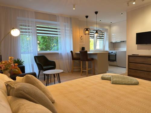 Dzintaru Beach Side Studio Apartment - close to the beach
