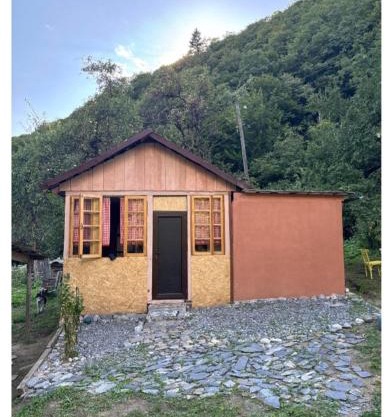 Dzveli kokhi