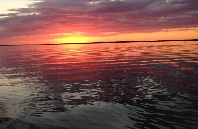 Eagle View Cabin @ Toledo Bend