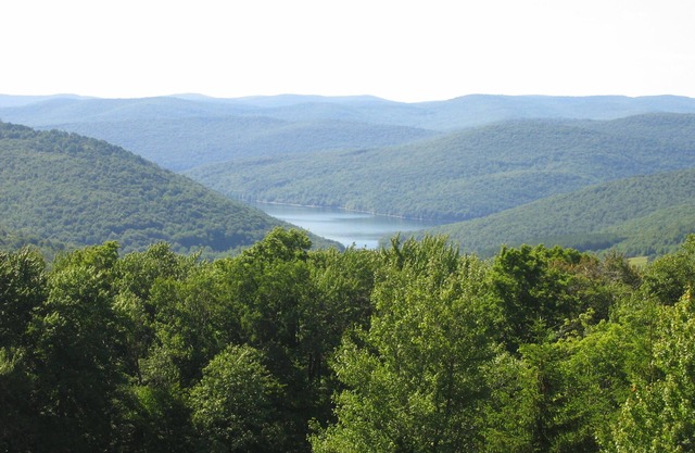 Eagles Nest*Cabin*Top of the World