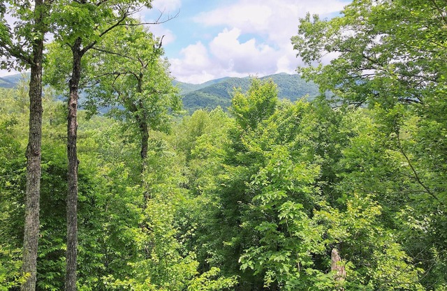 Eagles Wings Hideaway with Spectacular Views