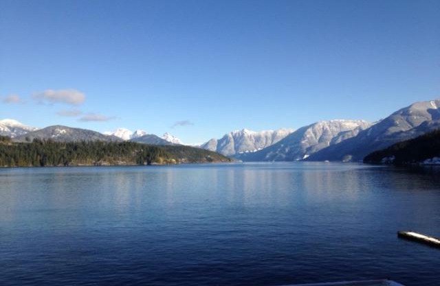 Earls Cove Orca View