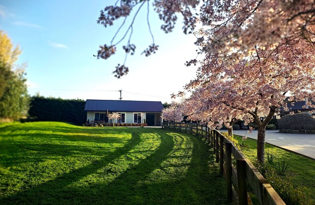 Early Escape-Welcome to our Eco Friendly and Peaceful Escape in Rural Hamilton!
