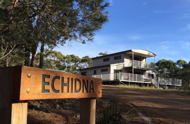 Echidna en Bruny, lujo en la isla de matorrales