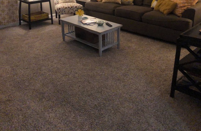 Eclectic, Cheerful 2 bed 1 bath Mid Term Rental
