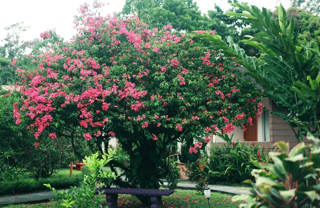 Eco Arenal Hotel