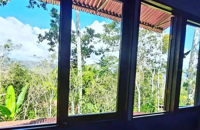 casita eco bambu #2 rodeado de vida silvestre, jardines y cataratas.