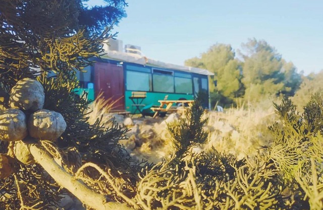eco bus