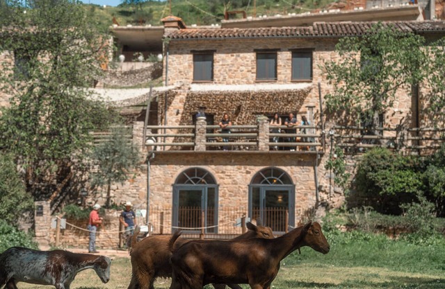 Eco-Finca Cueva del Gato, ideal para familias con mascotas rodeada de naturaleza