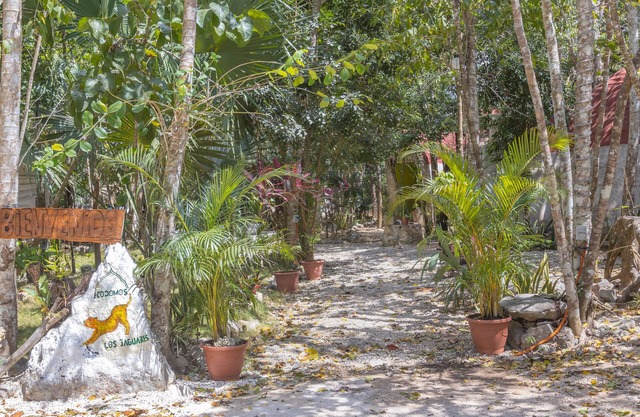 Eco-friendly dome amidst the beautiful jungle, with modern amenities and pool!