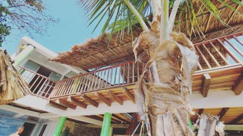 eco hotel lili