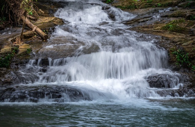 Casa Corazon del Rio se completa con una cascada, un agujero de baño y un río
