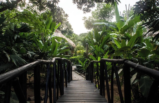 Ecohabs Bamboo Parque Tayrona
