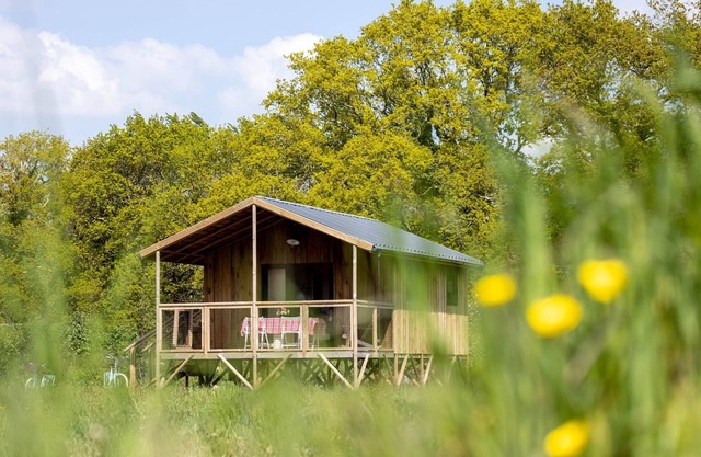 Ecolodge Arz Nature et Surf Camp