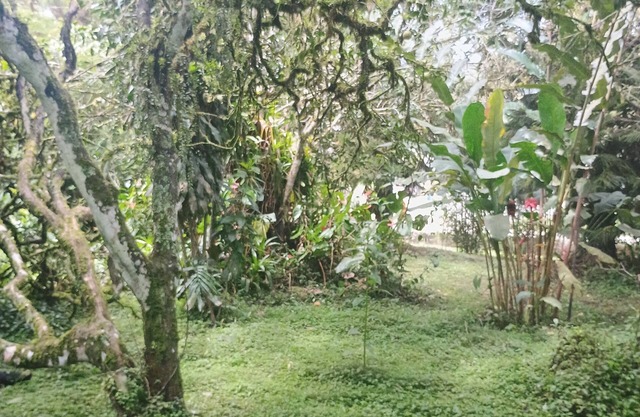 Ecopolis