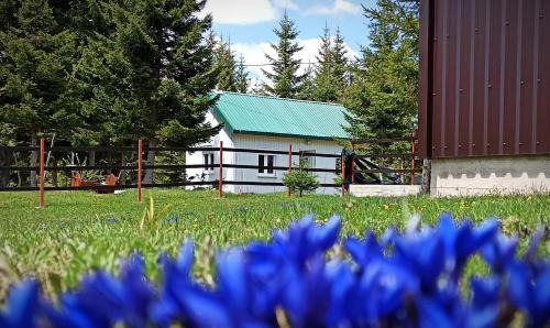 Edelweiss village apartment