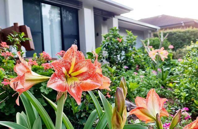 Eden, Elegance by the Bay