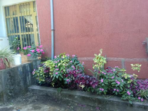 Eden Guest House