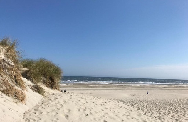 Effe Wad